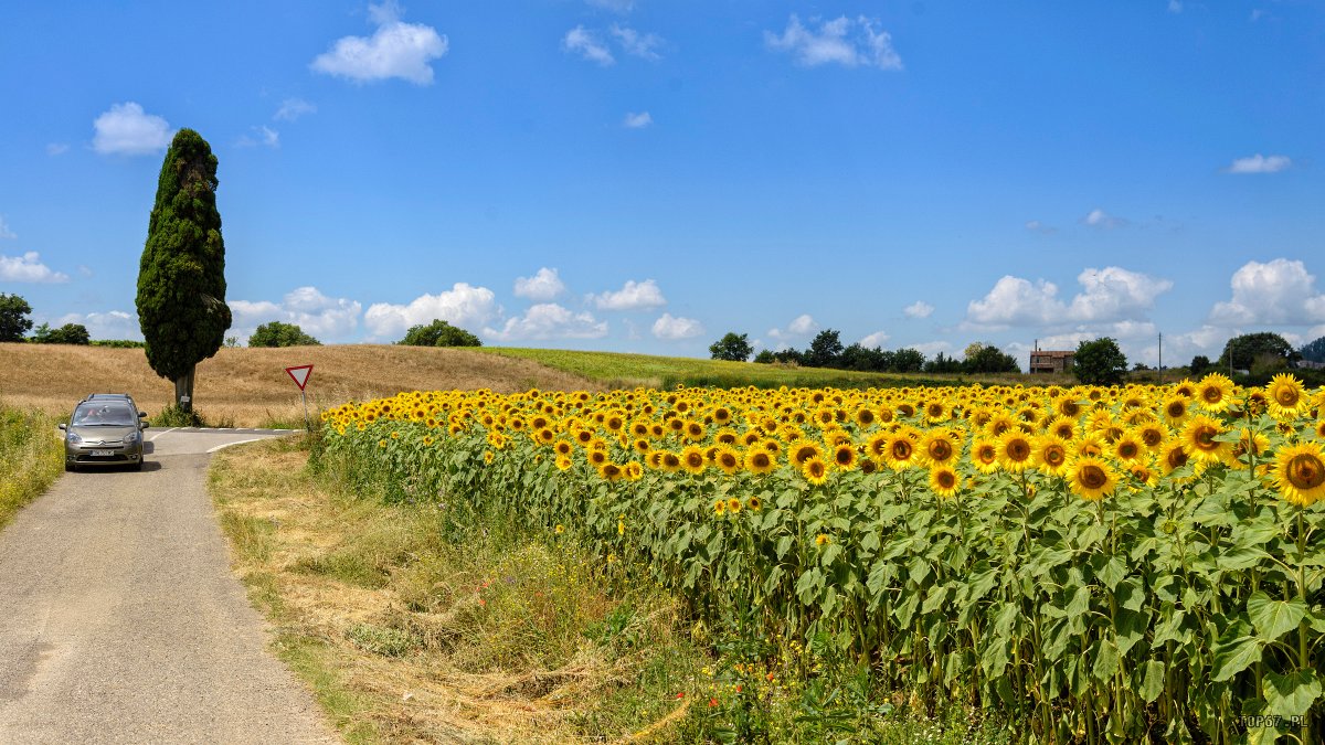 17_Toskania TP7_1719.jpg - Toskania